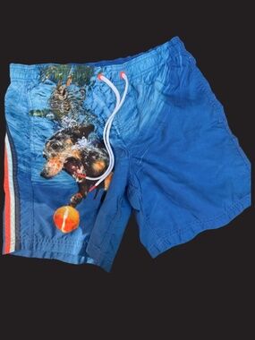 Sundek Blue Dachshund Dog Graphic Swim Trunks Board Shorts  Writing